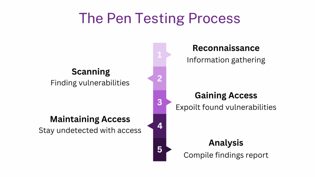 What Are the Stages of Pen Testing?