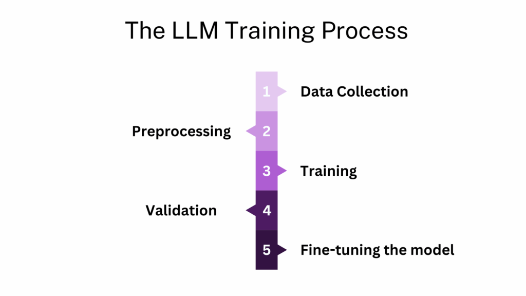 The LLM Training Process